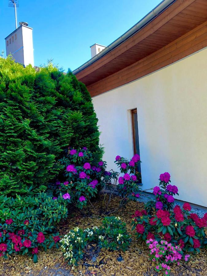 Apartament Przy Lesie Chojno-Blota Wielkie Exterior foto